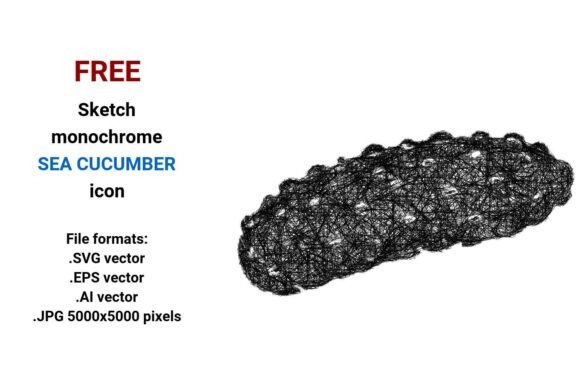 Free Sketch Sea Cucumber Icon
